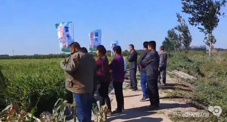 출처 : 인산테라 유튜브 "중국 산동 생강 농가"