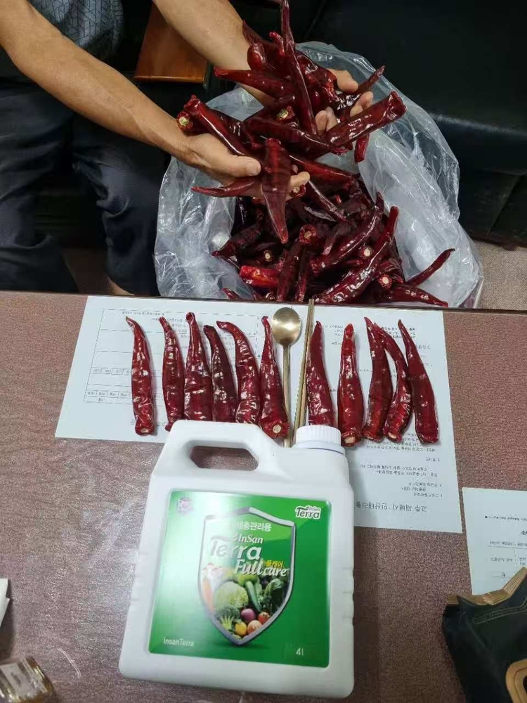 출처 : 인산테라 제공