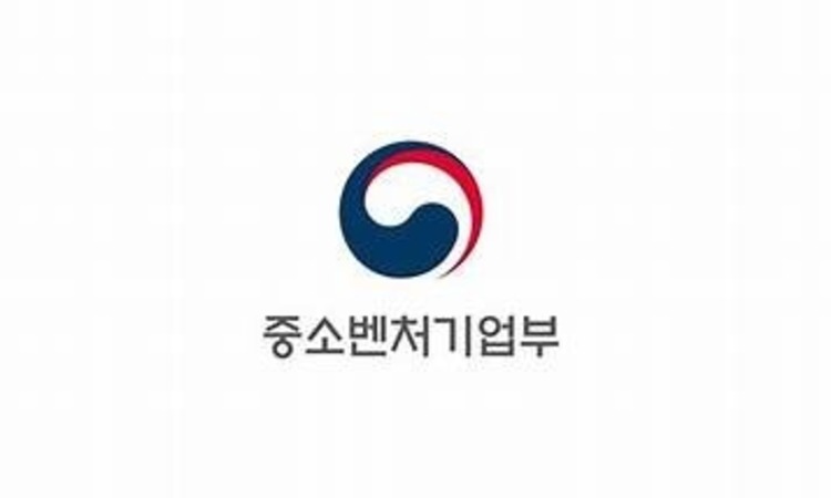 혁신 소상공인 지원 본격화… 중기부 ‘립스Ⅱ’ 시행